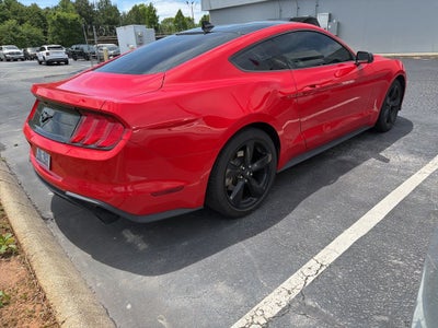 2023 Ford Mustang EcoBoost