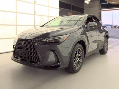 2024 Lexus NX 350 Premium