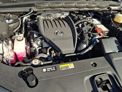 2024 Lexus RX 350 Premium Plus