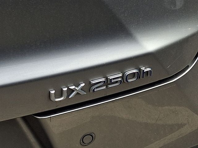 2020 Lexus UX 250h Base