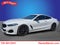 2019 BMW 8 Series M850i xDrive