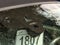 2019 BMW Z4 sDrive30i